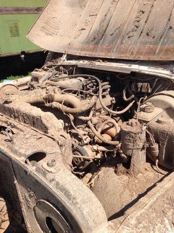 Кабанья тропа img_10