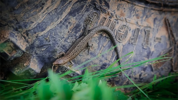 ИЖ-ТЕХНО 8 ЛЕТ! Видео празднования Дня рождения компании img_8